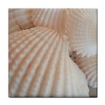 Sunny White Seashells Ceramic Tile Front