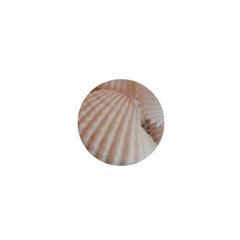 Sunny White Seashells 1  Mini Button Magnet