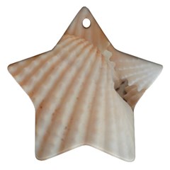 Sunny White Seashells Star Ornament