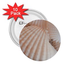 Sunny White Seashells 2 25  Button (10 Pack) by yoursparklingshop