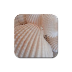 Sunny White Seashells Drink Coasters 4 Pack (square) by yoursparklingshop