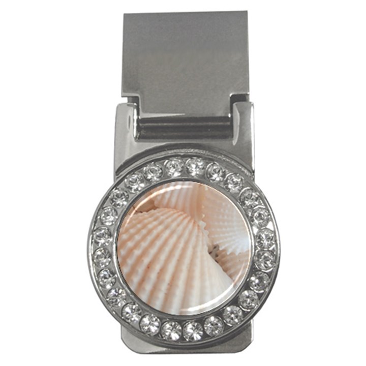 Sunny White Seashells Money Clip (CZ)