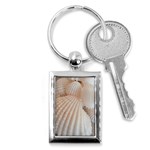 Sunny White Seashells Key Chain (Rectangle) Front