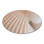 Sunny White Seashells Magnet (Oval) Front