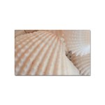 Sunny White Seashells Sticker 100 Pack (Rectangle) Front