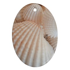 Sunny White Seashells Oval Ornament (two Sides)