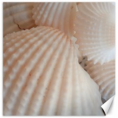 Sunny White Seashells Canvas 20  X 20  (unframed) by yoursparklingshop