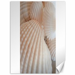 Sunny White Seashells Canvas 36  X 48  (unframed) by yoursparklingshop