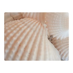 Sunny White Seashells Double Sided Flano Blanket (mini) by yoursparklingshop