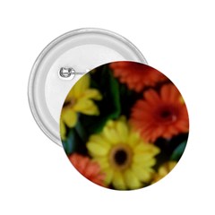 Orange Yellow Daisy Flowers Gerbera 2 25  Button