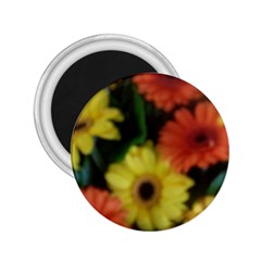 Orange Yellow Daisy Flowers Gerbera 2 25  Button Magnet by yoursparklingshop