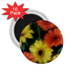 Orange Yellow Daisy Flowers Gerbera 2 25  Button Magnet (10 Pack)