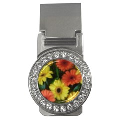 Orange Yellow Daisy Flowers Gerbera Money Clip (cz)