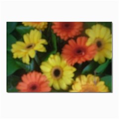 Orange Yellow Daisy Flowers Gerbera Postcard 4 x 6  (10 Pack) by yoursparklingshop