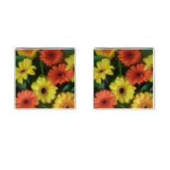 Orange Yellow Daisy Flowers Gerbera Cufflinks (square)