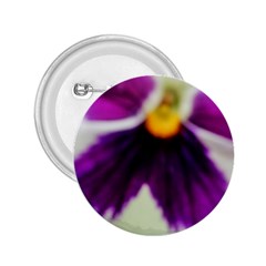 Inside Purple White Violet Flower 2 25  Button