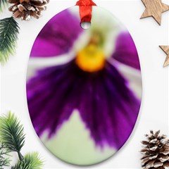 Inside Purple White Violet Flower Oval Ornament