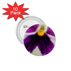 Inside Purple White Violet Flower 1 75  Button (10 Pack) by yoursparklingshop