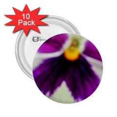 Inside Purple White Violet Flower 2 25  Button (10 Pack) by yoursparklingshop