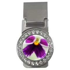 Inside Purple White Violet Flower Money Clip (cz)