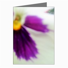 Inside Purple White Violet Flower Greeting Card (8 Pack) by yoursparklingshop