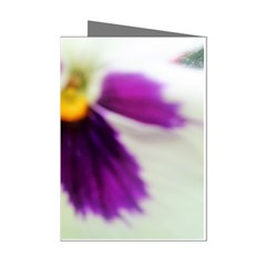 Inside Purple White Violet Flower Mini Greeting Card (8 Pack) by yoursparklingshop