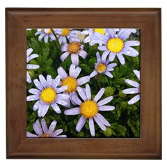 Yellow White Daisy Flowers Framed Ceramic Tile