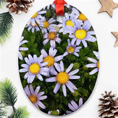 Yellow White Daisy Flowers Oval Ornament