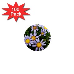 Yellow White Daisy Flowers 1  Mini Button Magnet (100 Pack)