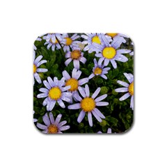 Yellow White Daisy Flowers Drink Coasters 4 Pack (square)