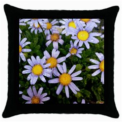 Yellow White Daisy Flowers Black Throw Pillow Case by yoursparklingshop