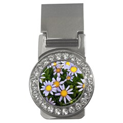 Yellow White Daisy Flowers Money Clip (cz)