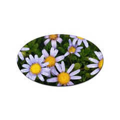 Yellow White Daisy Flowers Sticker (oval)