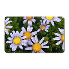 Yellow White Daisy Flowers Magnet (rectangular) by yoursparklingshop