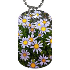 Yellow White Daisy Flowers Dog Tag (one Sided) by yoursparklingshop