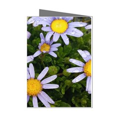 Yellow White Daisy Flowers Mini Greeting Card (8 Pack) by yoursparklingshop