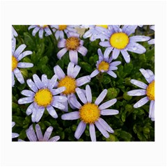 Yellow White Daisy Flowers Glasses Cloth (small) by yoursparklingshop