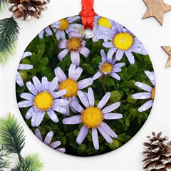 Yellow White Daisy Flowers Round Ornament (two Sides) by yoursparklingshop