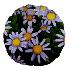 Yellow White Daisy Flowers Large 18  Premium Round Cushion 