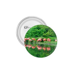 Flamingo Birds At Lake 1 75  Button by yoursparklingshop