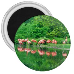 Flamingo Birds At Lake 3  Button Magnet by yoursparklingshop