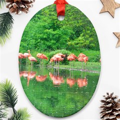 Flamingo Birds At Lake Oval Ornament by yoursparklingshop