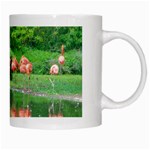 Flamingo Birds at lake White Coffee Mug Right