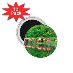 Flamingo Birds At Lake 1 75  Button Magnet (10 Pack) by yoursparklingshop