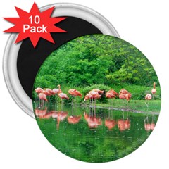 Flamingo Birds At Lake 3  Button Magnet (10 Pack)