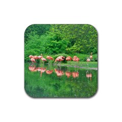 Flamingo Birds At Lake Drink Coaster (square)