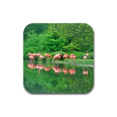 Flamingo Birds At Lake Drink Coasters 4 Pack (square) by yoursparklingshop