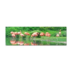 Flamingo Birds At Lake Bumper Sticker 100 Pack by yoursparklingshop