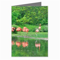 Flamingo Birds At Lake Greeting Card by yoursparklingshop