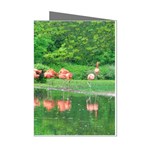 Flamingo Birds at lake Mini Greeting Card (8 Pack) Left